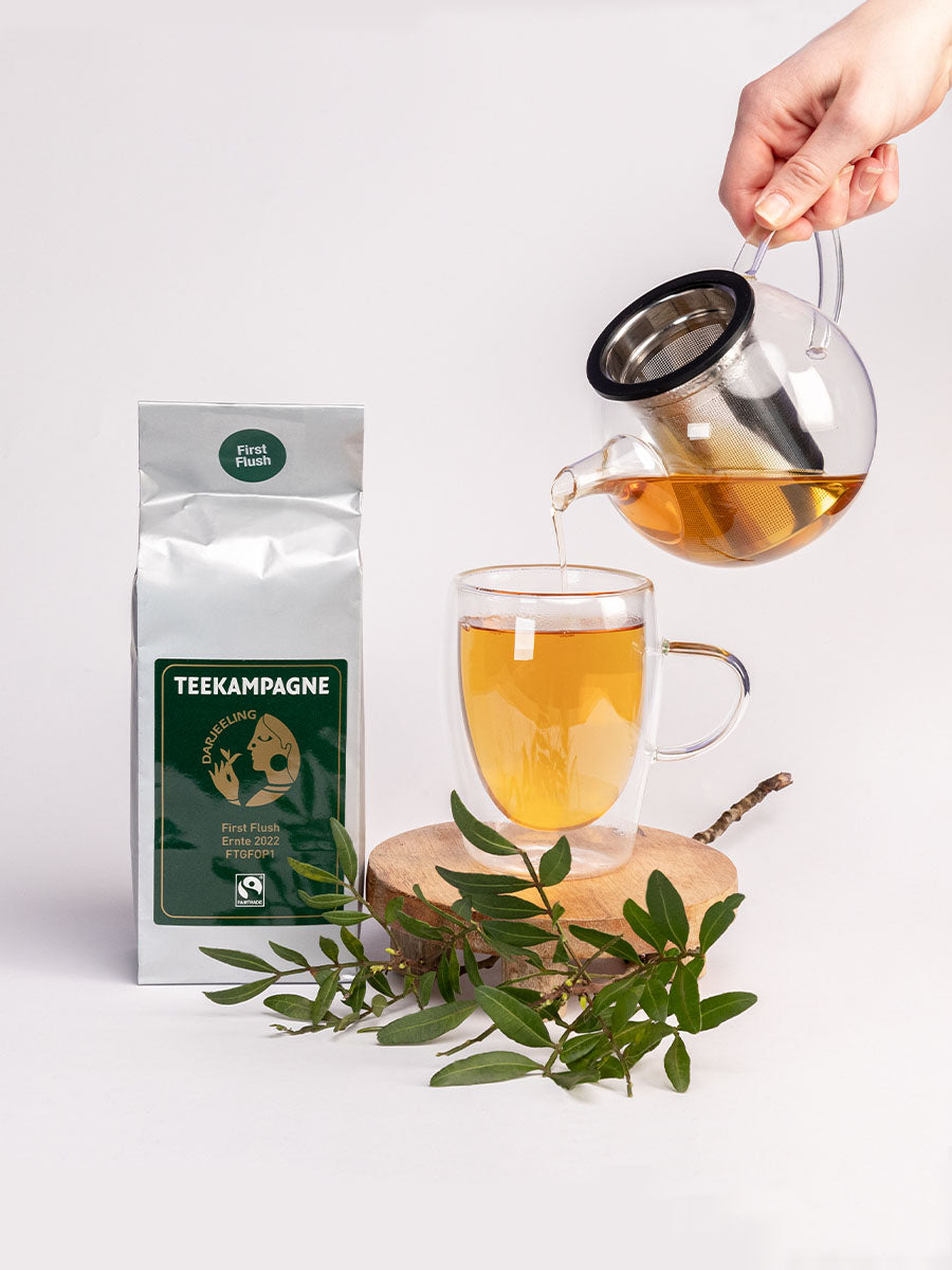 Teekampagne Darjeeling First Flush