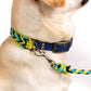 dc Hundehalsband S (30-36 cm)