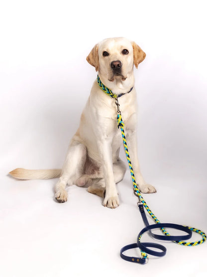 dc Hunde-Set, Halsband und Leine frontal