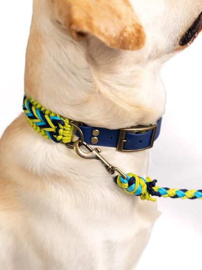 dc Hunde-Set, Nahaufnahme von Paracord und Messingbeschlägen